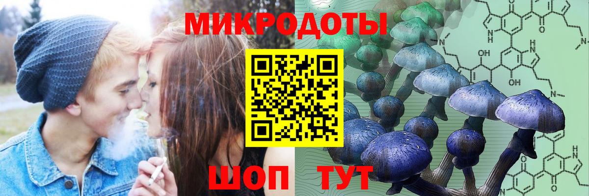 Галлюциногенные грибы MAGIC MUSHROOMS  даркнет сайт  Псилоцибиновые грибы прущие грибы  Рославль  Вход с VPN 